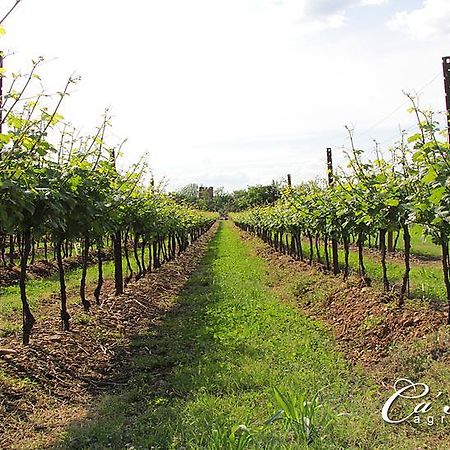 Agriturismo Ca'Mattei Пескантина Экстерьер фото