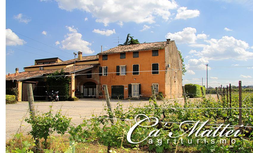 Agriturismo Ca'Mattei Пескантина Экстерьер фото